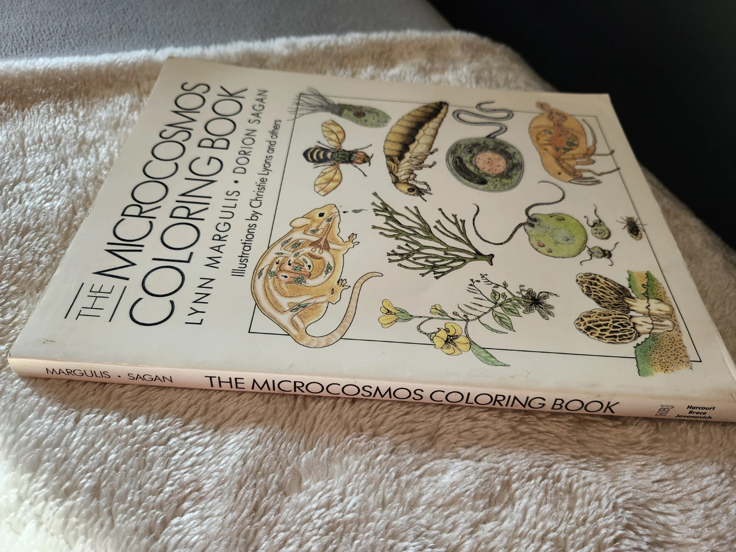1988 Microcosmos Coloring Book by Margulis and Sagan - photo 3