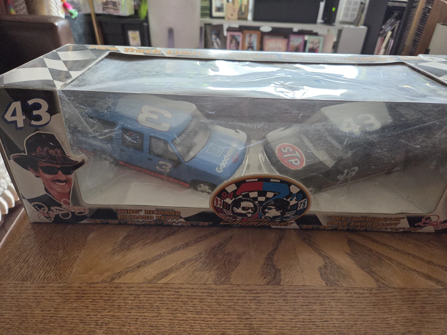 Richard Petty Dale Earnhardt Die Cast Race Cars 1:25 Scale