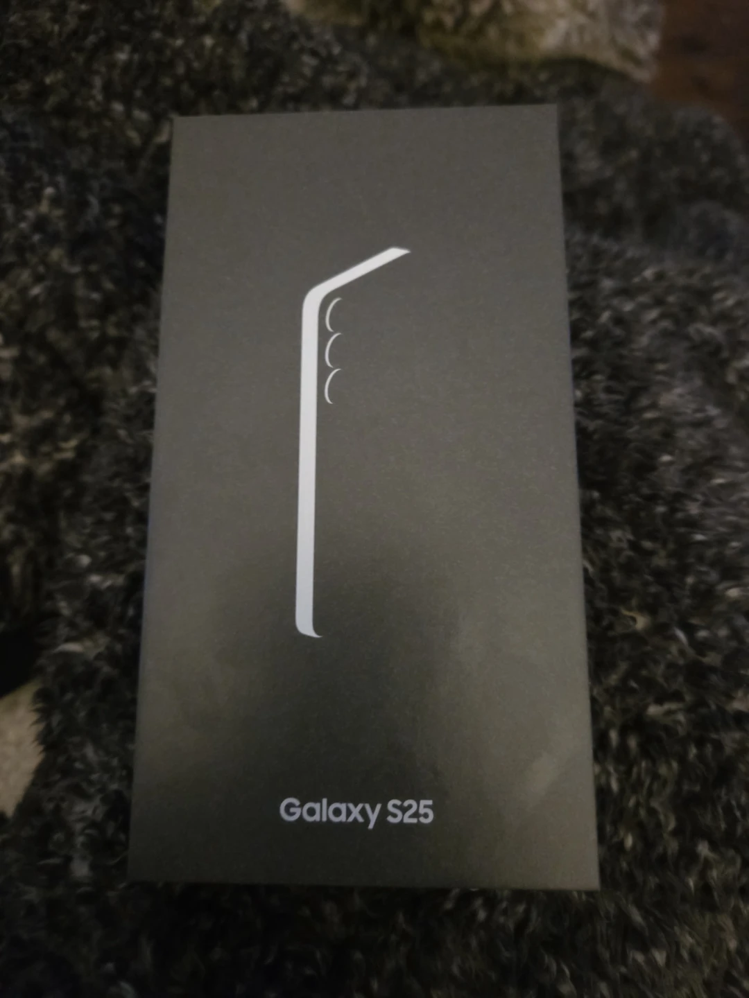Samsung Galaxy S25 Smartphone