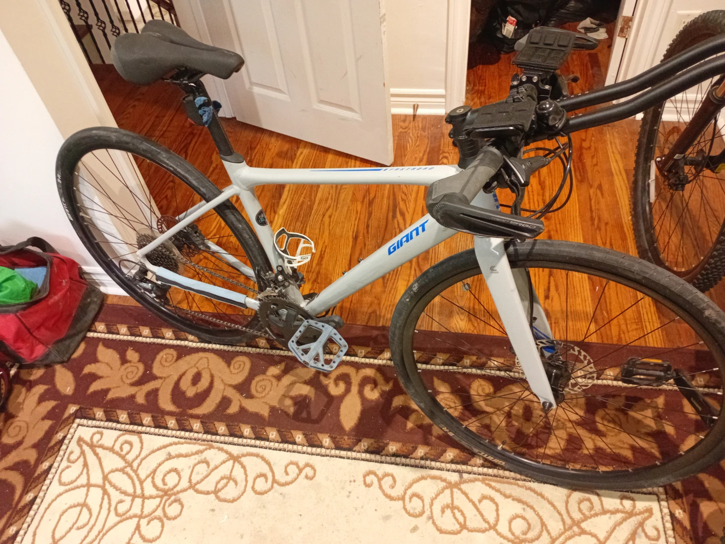 Giant Escape Hybrid Bike