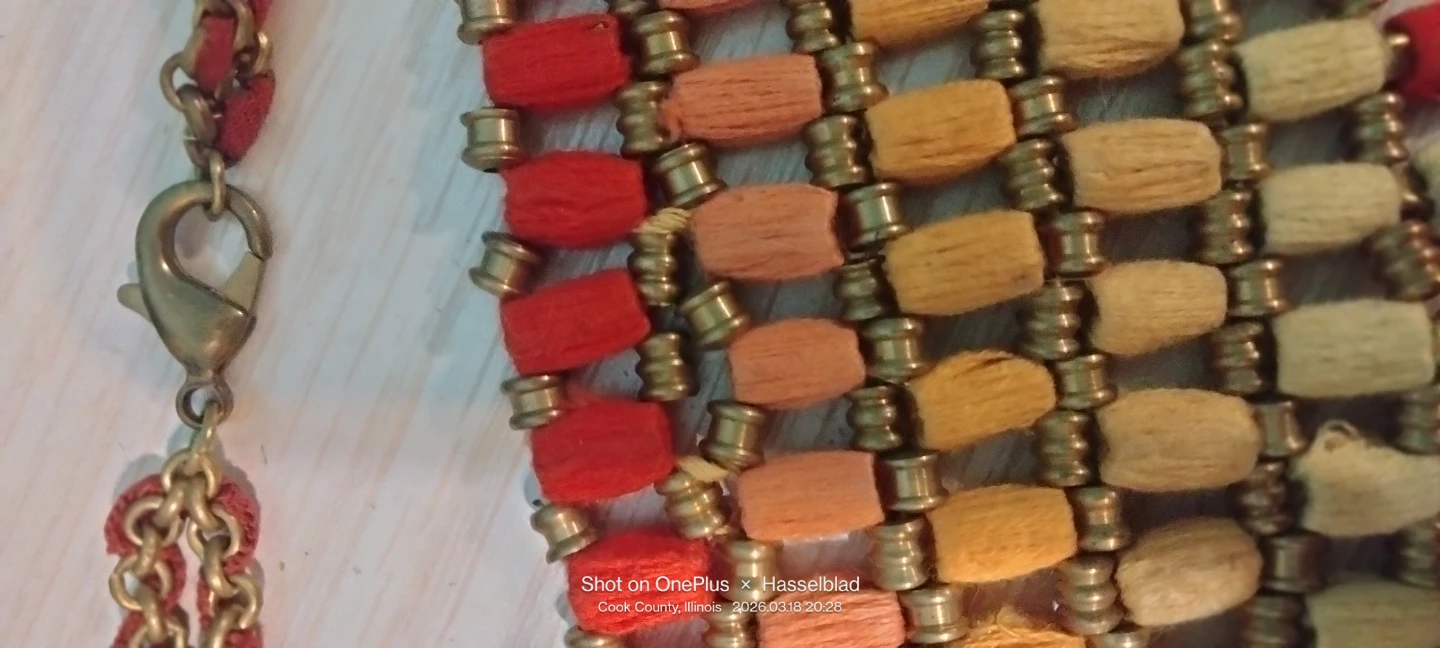 Bohemian Beaded Fringe Statement Necklace - photo 3