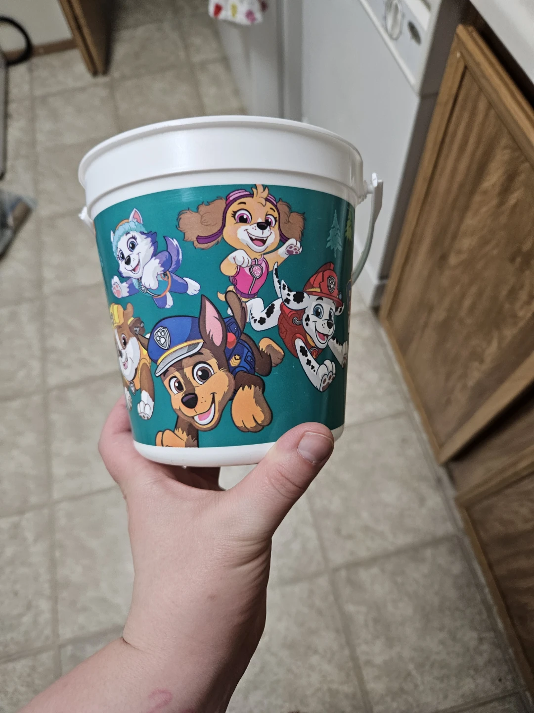 fun buckets - photo 5