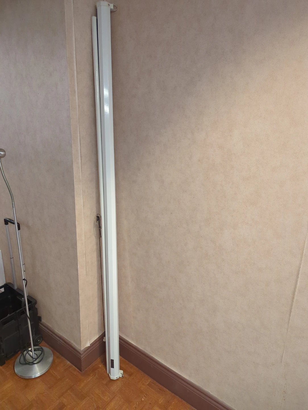 Elite Screens Projection Screen