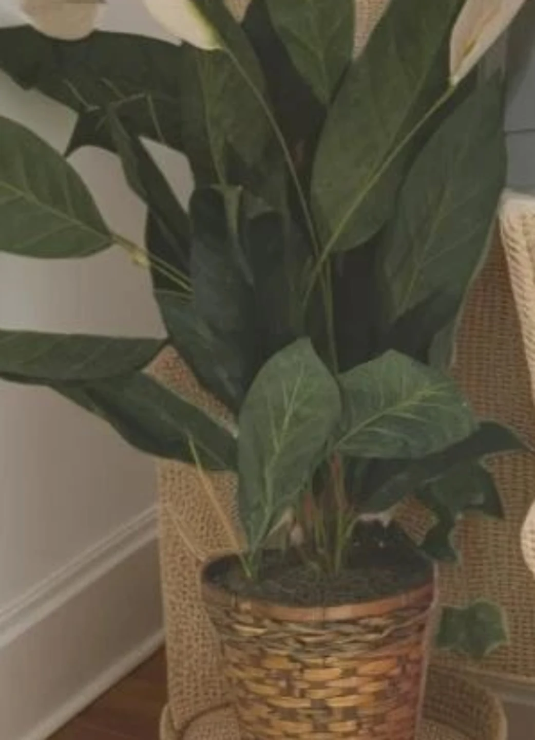 Tall Artificial Plant in Wicker Basket - photo 4
