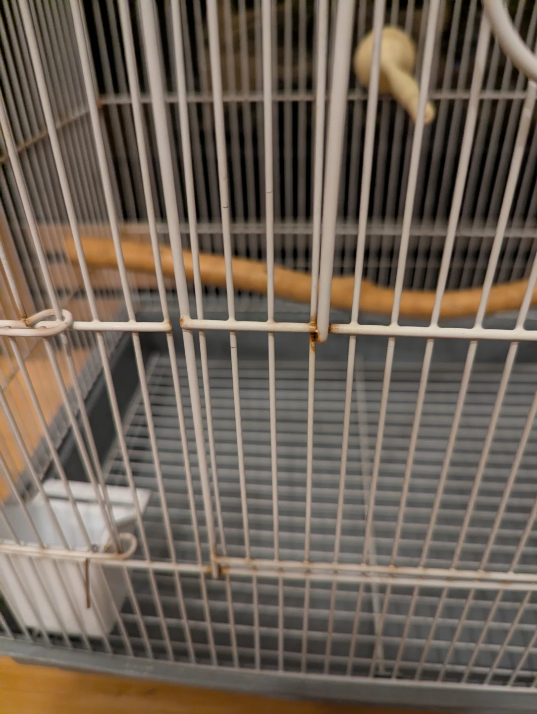 White Bird Cage $30 - photo 2
