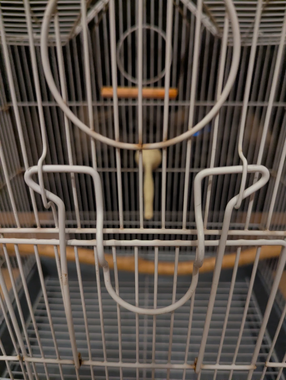 White Bird Cage $30 - photo 3