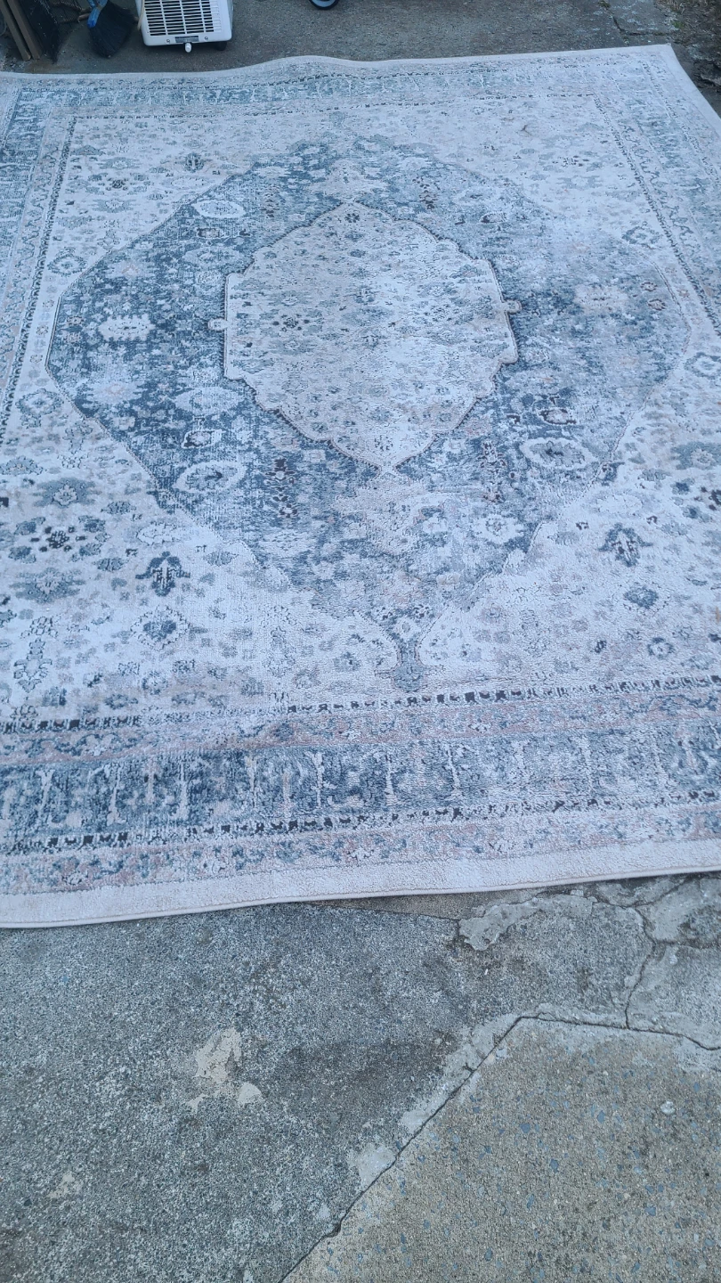 Safavieh Oregon Rug 8' x 10'