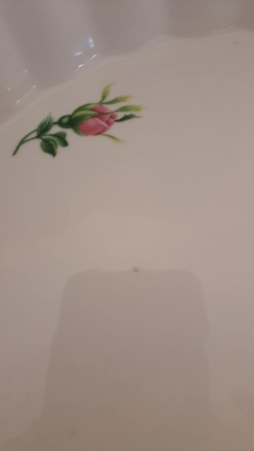 Fleur Rose Pie Plate - photo 4