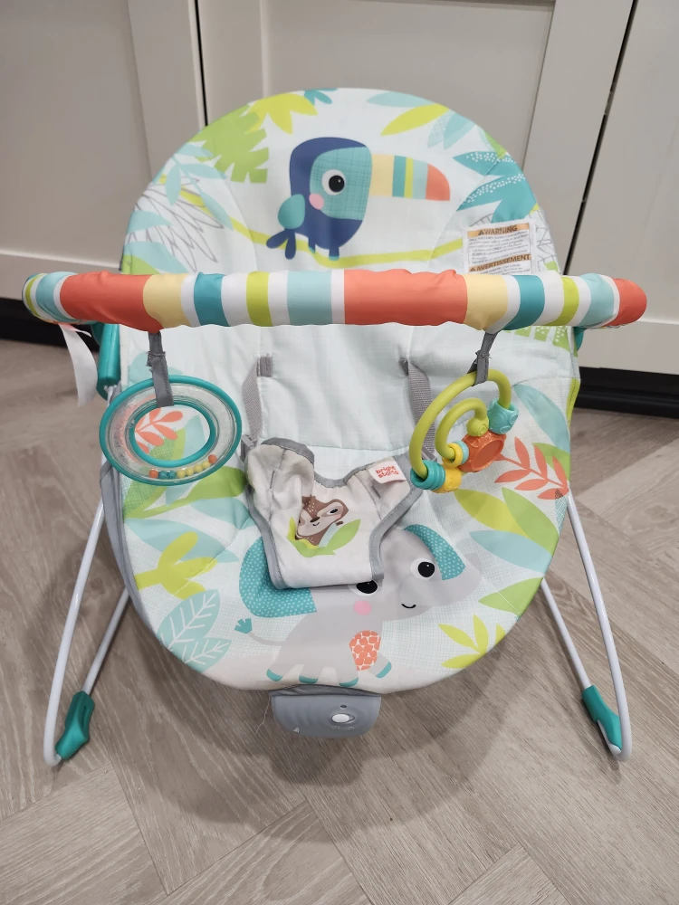 Bright Starts Baby Bouncer Seat with Toucan Design