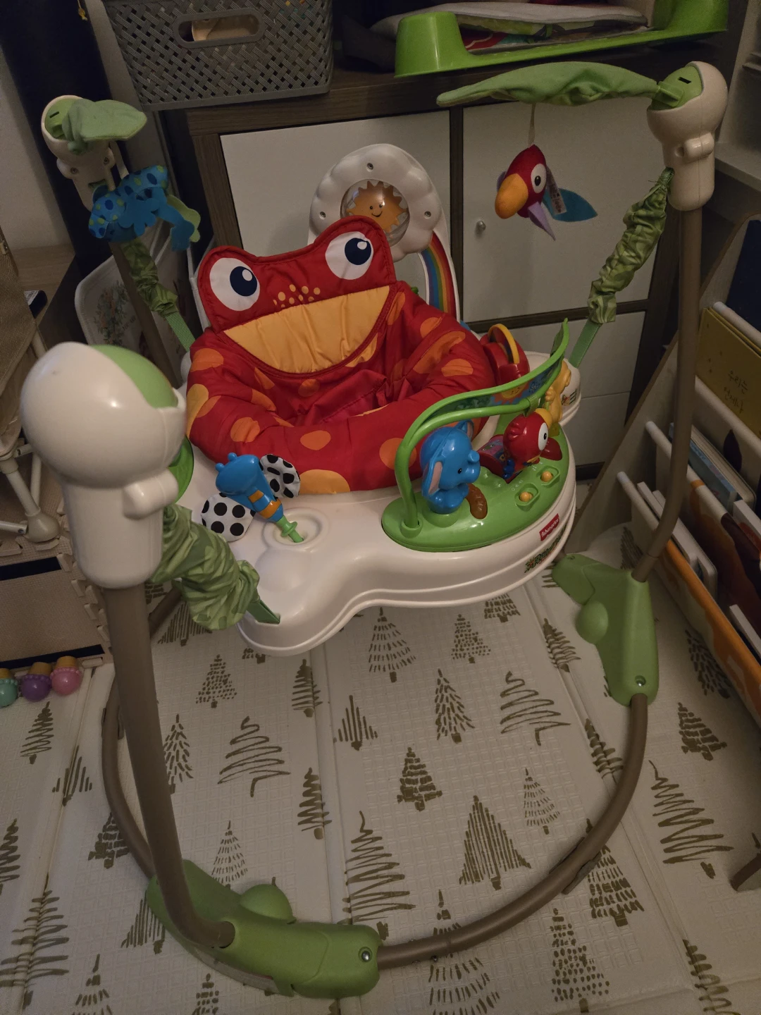 Fisher-Price Jumperoo Frog