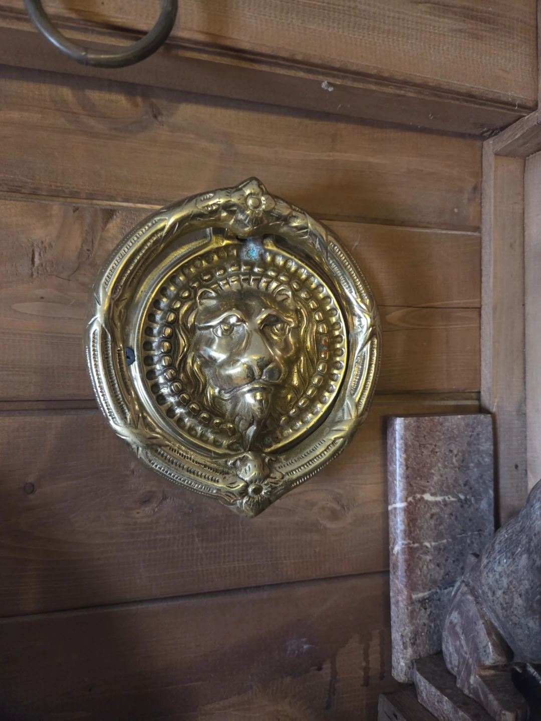 Huge lion jaguar collection for sale - photo 2