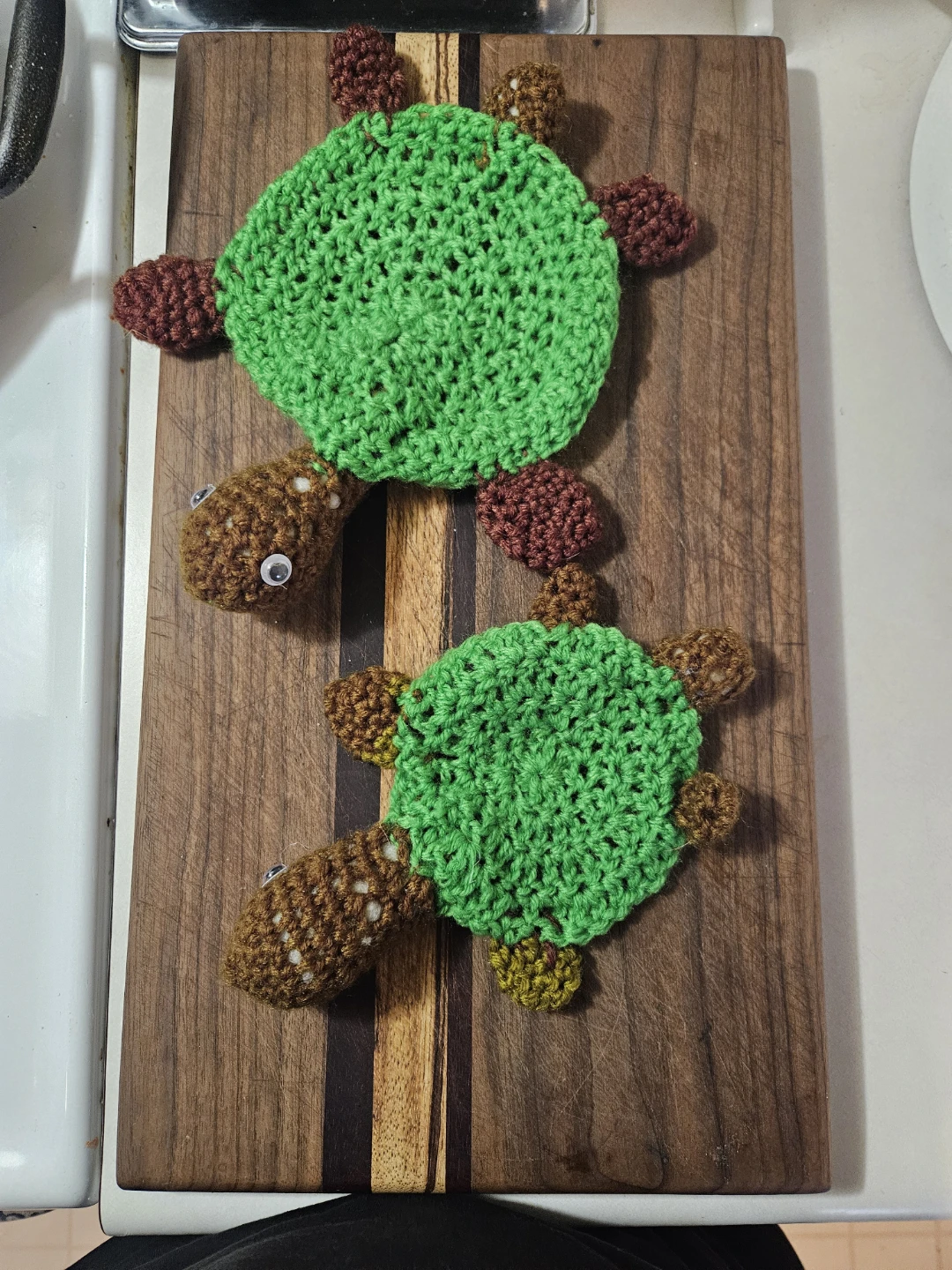 ​🐢 NEW LOOT DROPPED: THE GUARDIAN TURTLE COASTERS 🐢 - photo 5