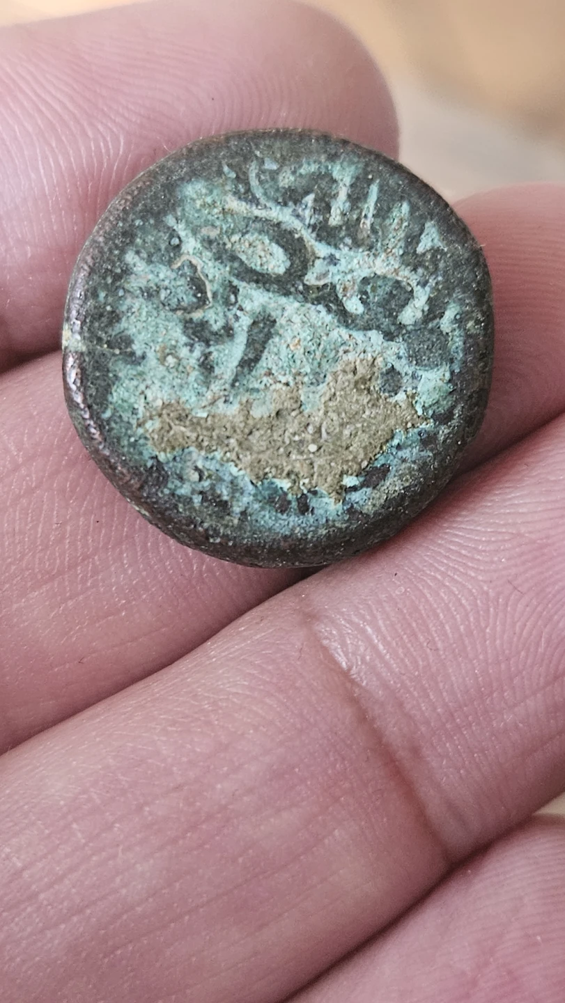 Mughal Dynasty Coins Collection - photo 2