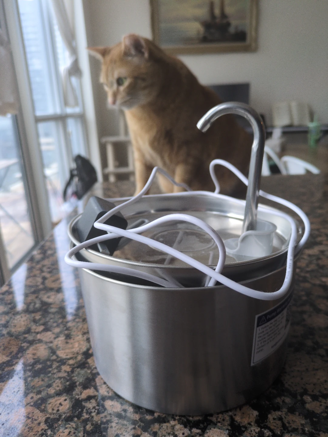 Pet Water Fountain - photo 2