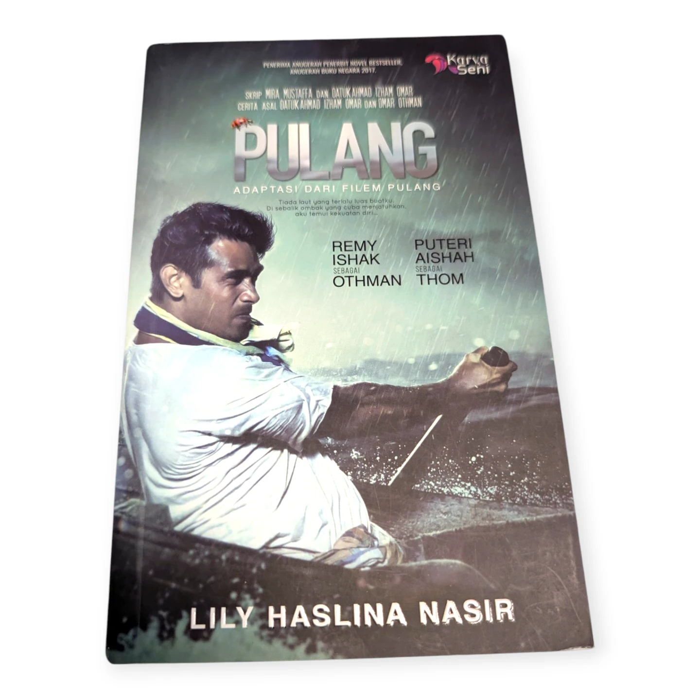 Pulang Novel by Lily Haslina Nasir