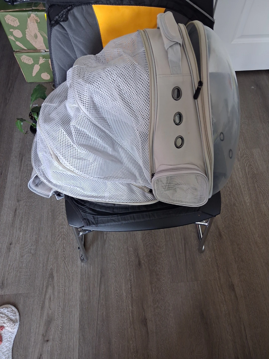 Pet Carrier Backpack Bubble - photo 2