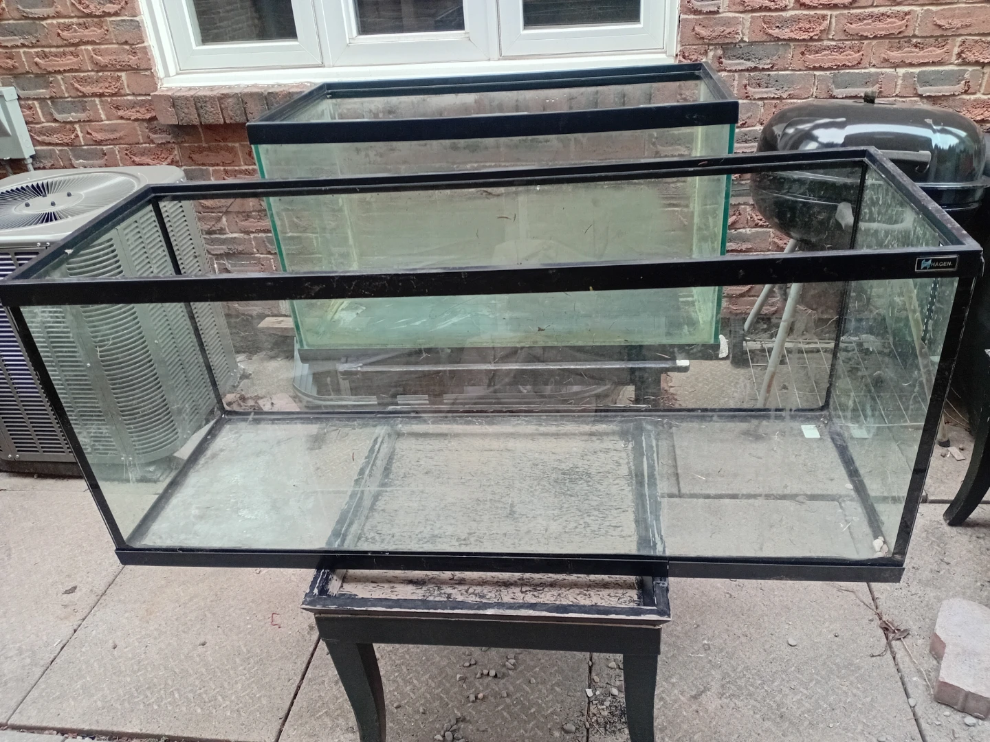 Large Glass Aquarium Tank
