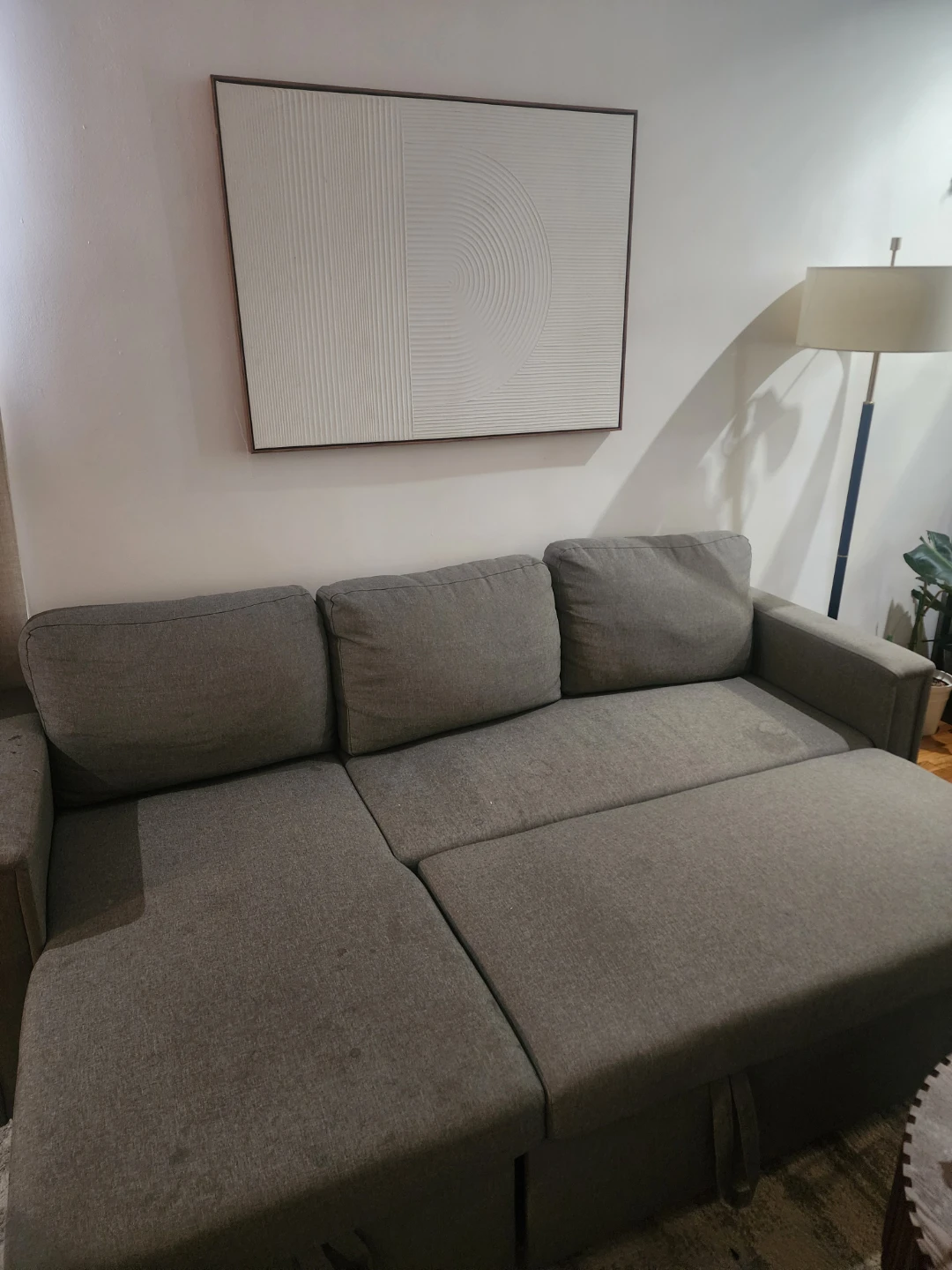 Gray Sectional sleeper Sofa with Chaise