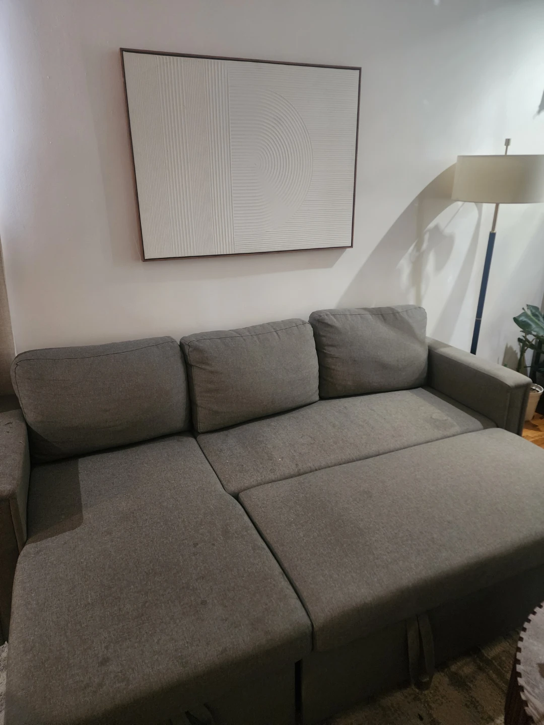 Gray Sectional sleeper Sofa with Chaise - photo 2