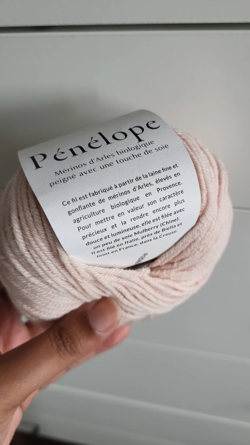5 x De Rerum Natura Pénélope Wool Silk Yarn - Tutu - photo 3
