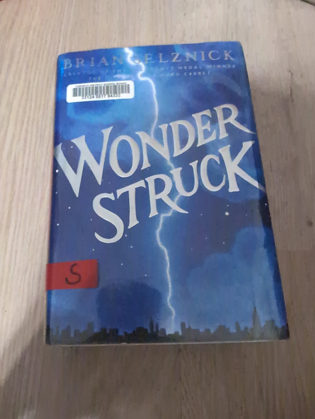 Wonderstruck by Brian Selznick Children's Book