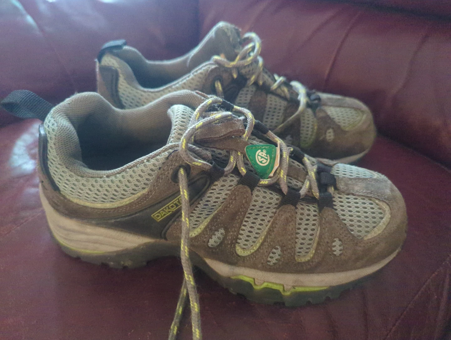 Dakota steel toe shoes