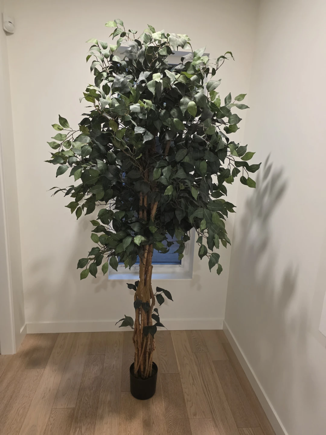 Artificial Ficus Tree