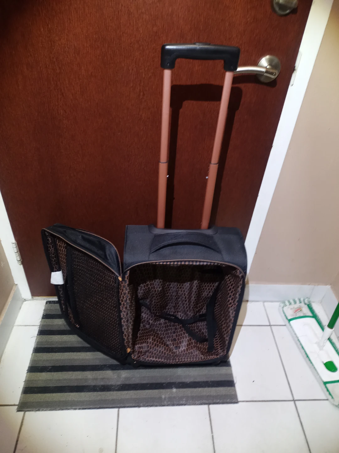 Small Luggage With Swivel Wheels - photo 2