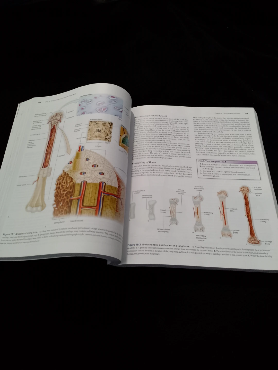 Inquiry Into Life Sixteenth Edition Textbook - photo 3