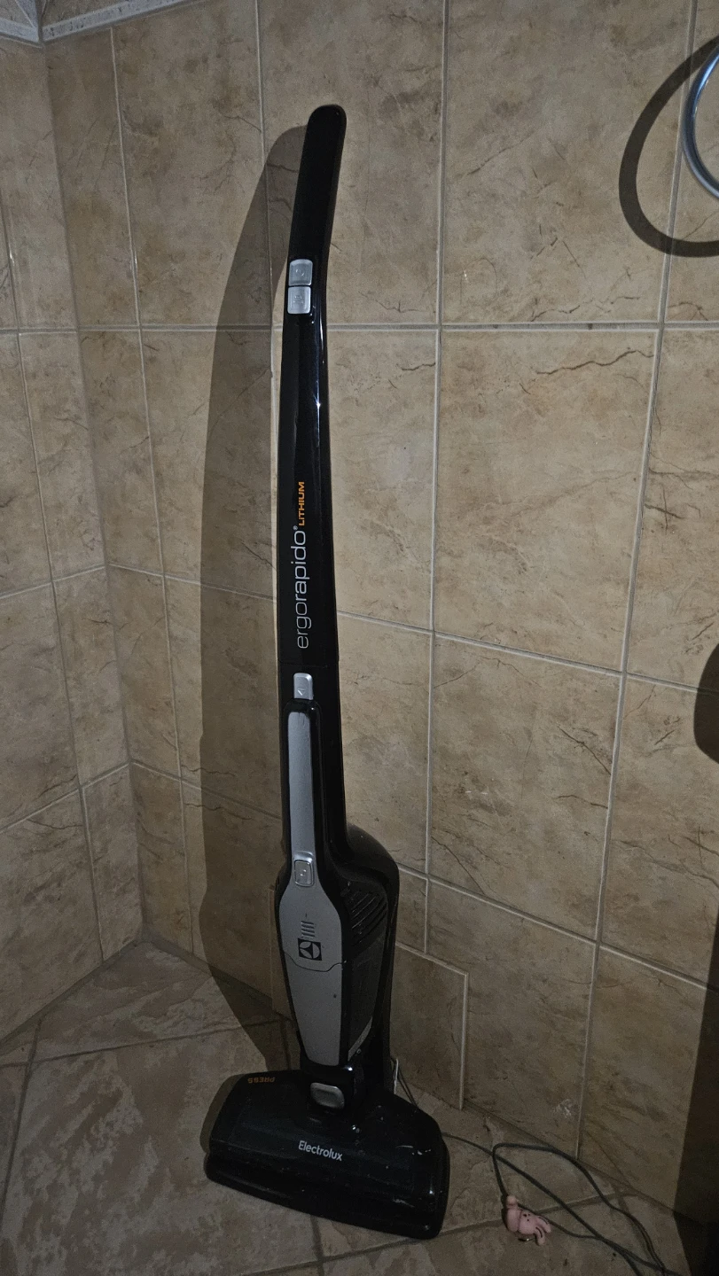 Electrolux ErgoRapido Lithium Stick Vacuum