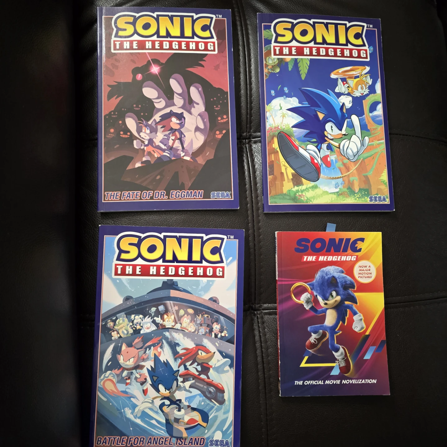 Sonic the Hedgehog Graphic Novel Books & Chapter Book