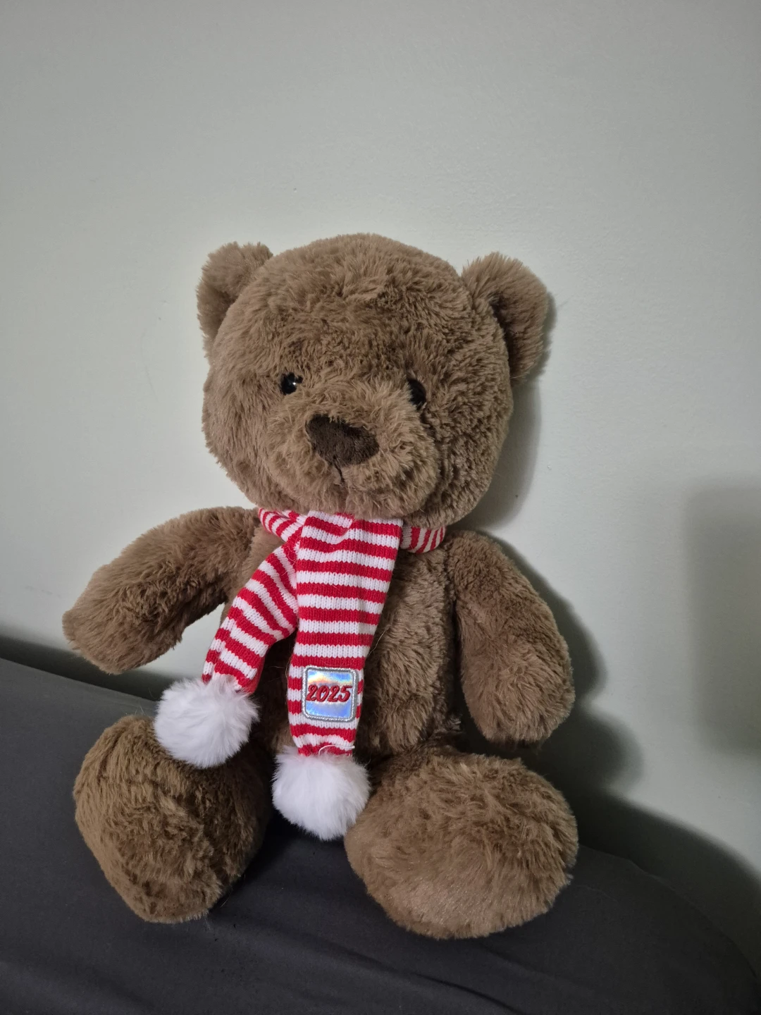 Brown Teddy Bear with "2025" Scarf