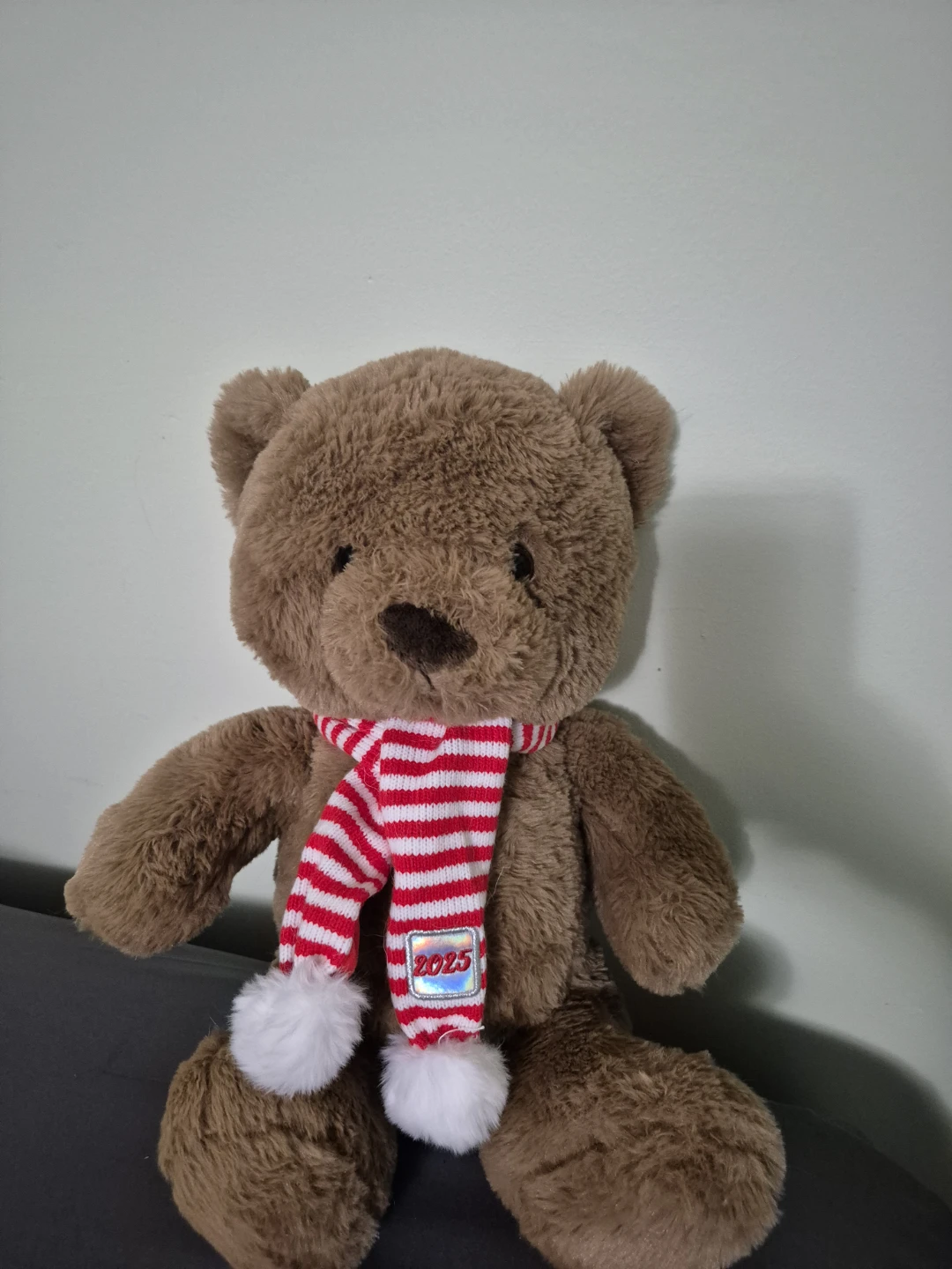 Brown Teddy Bear with "2025" Scarf - photo 2