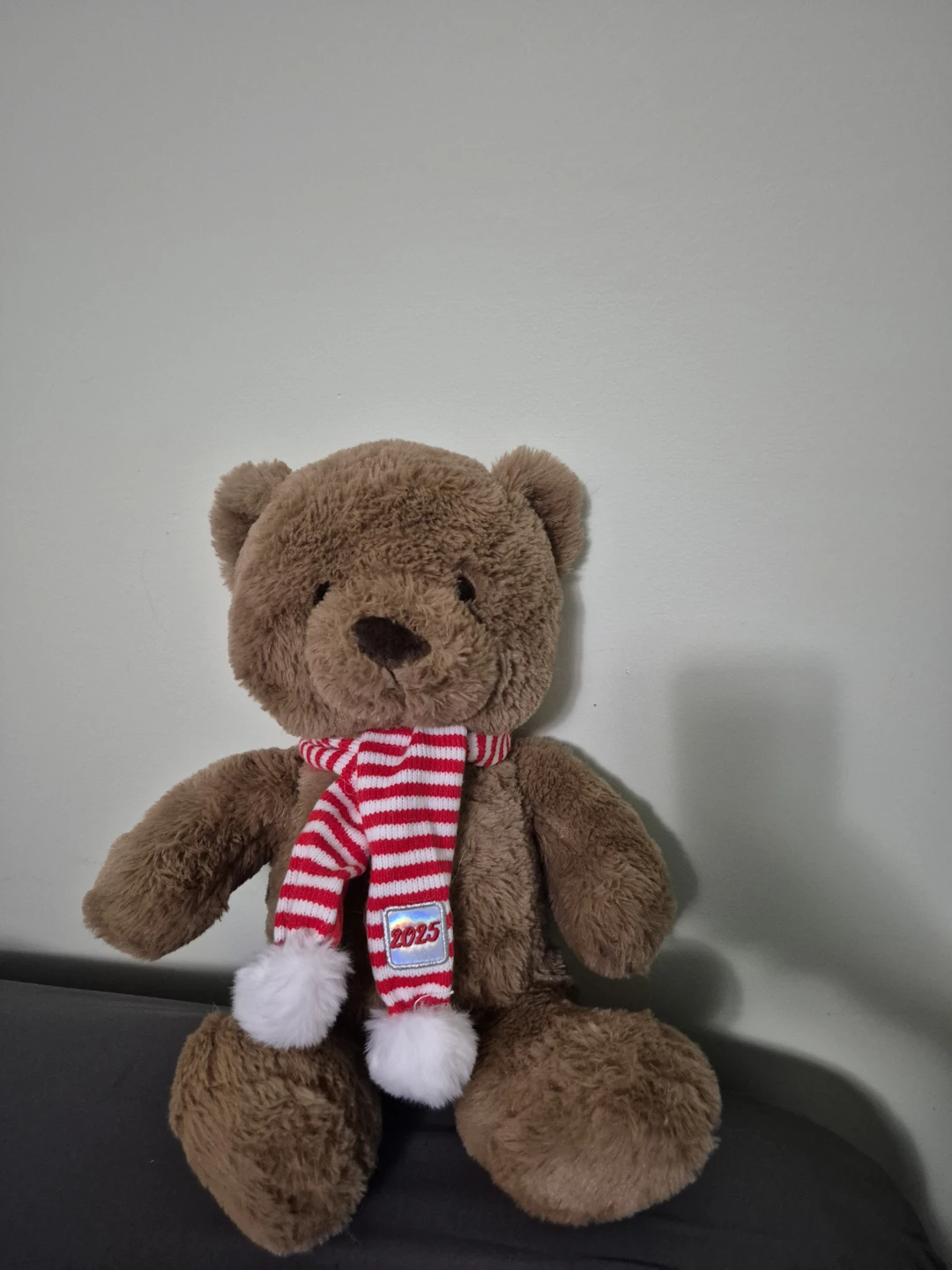 Brown Teddy Bear with "2025" Scarf - photo 3