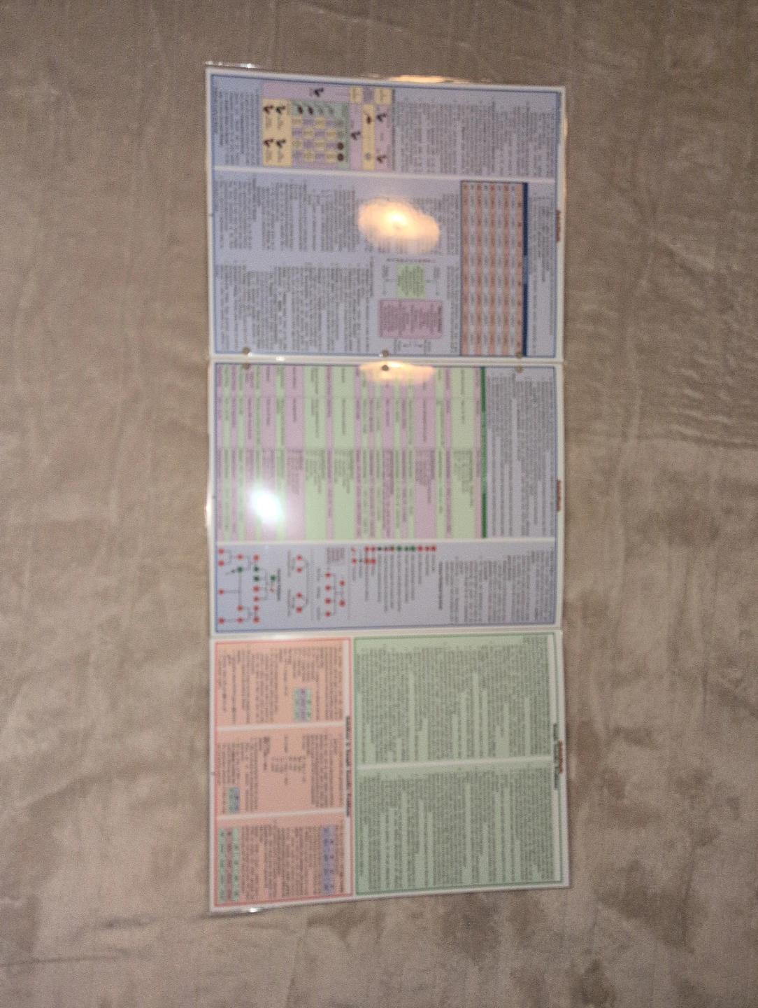 Quick Study Academic Genetics Reference Sheets - photo 3