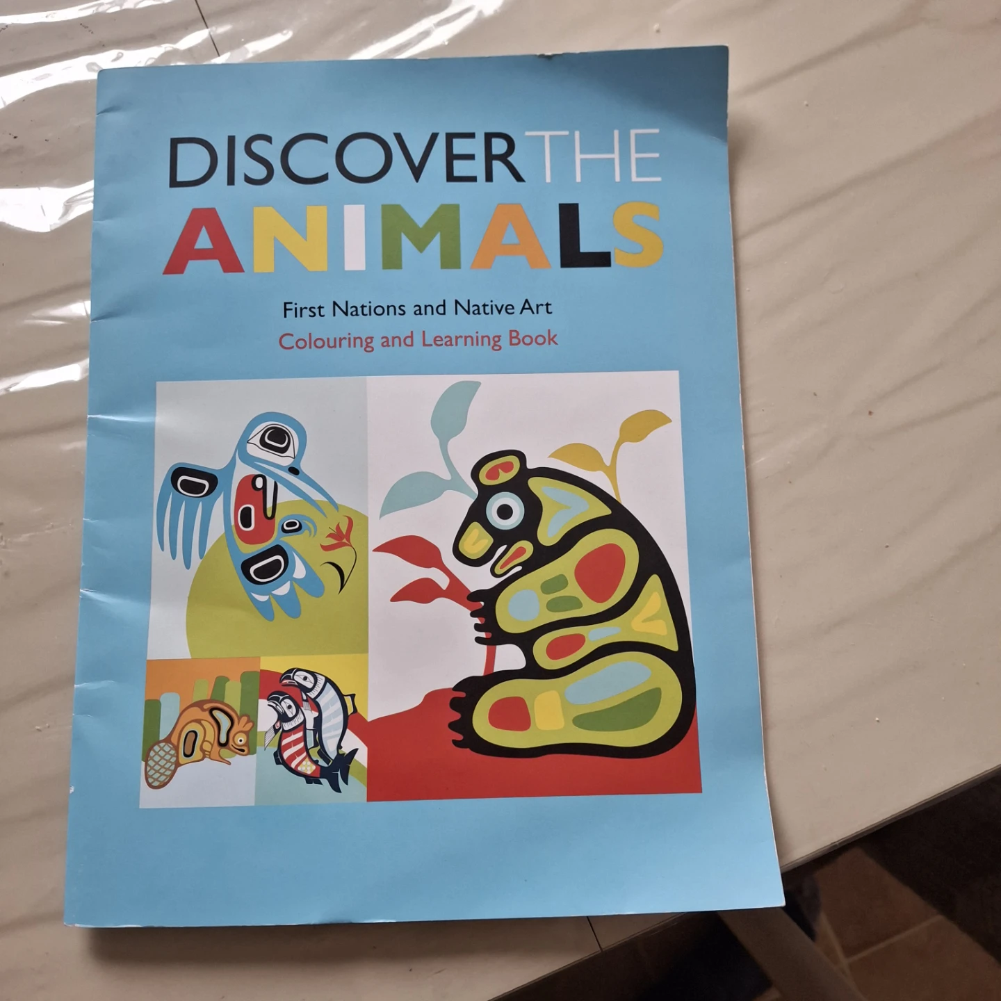 First nations Native Art Colouring and Learning Book