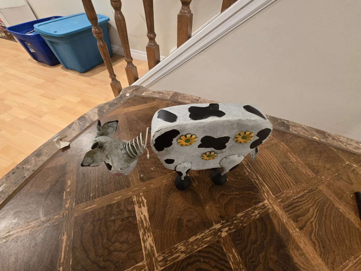 Cow
