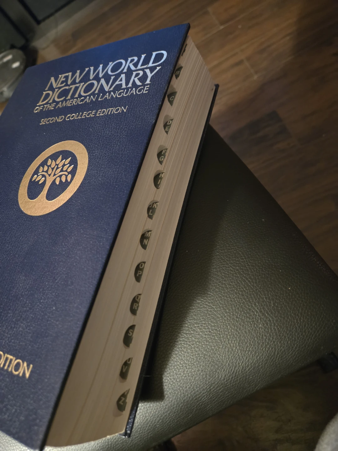 Webster's New World Dictionary of the American Language - photo 3