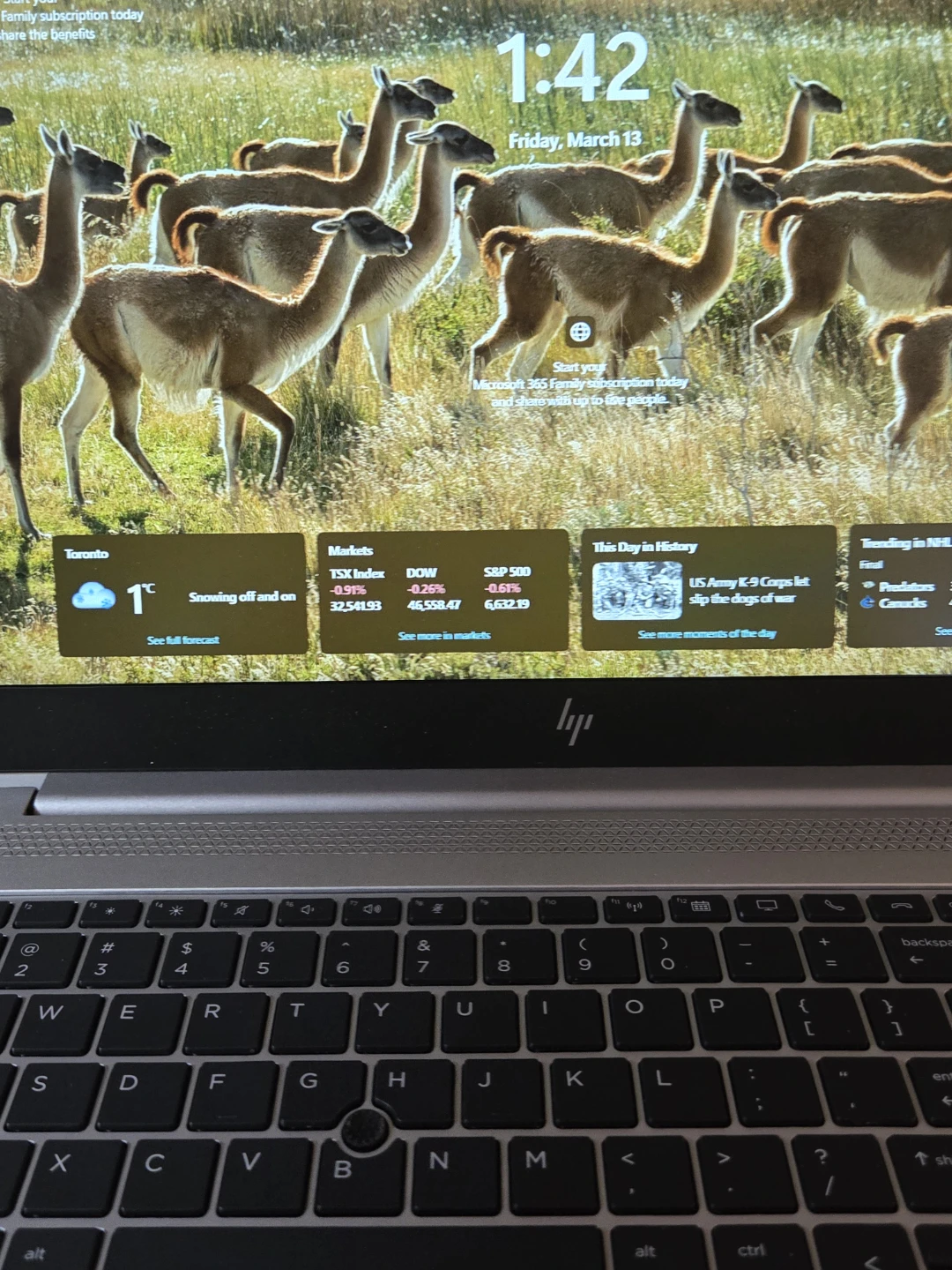 windows 11pro hp elitebook 850 g5 notebook - photo 5
