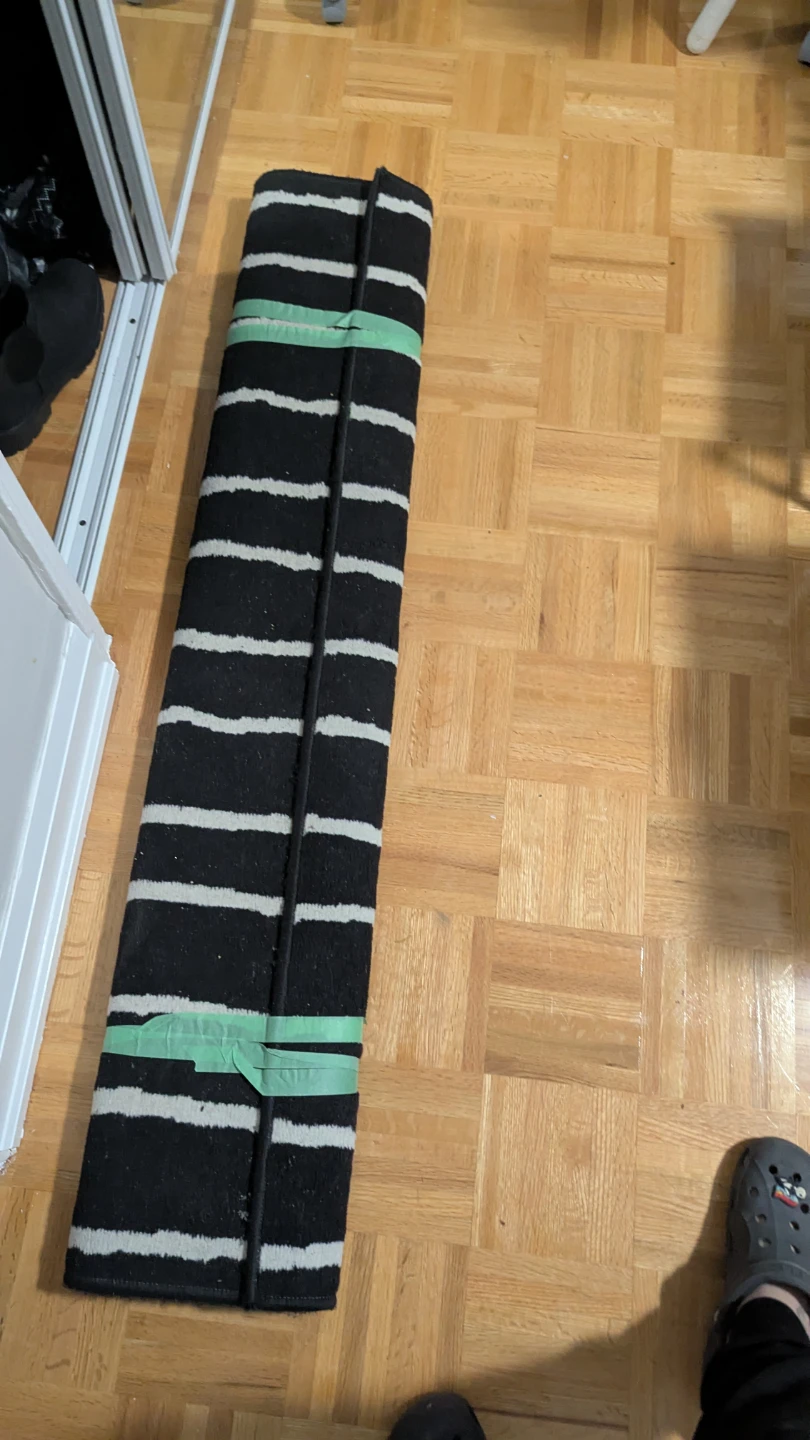 Black and white striped rug