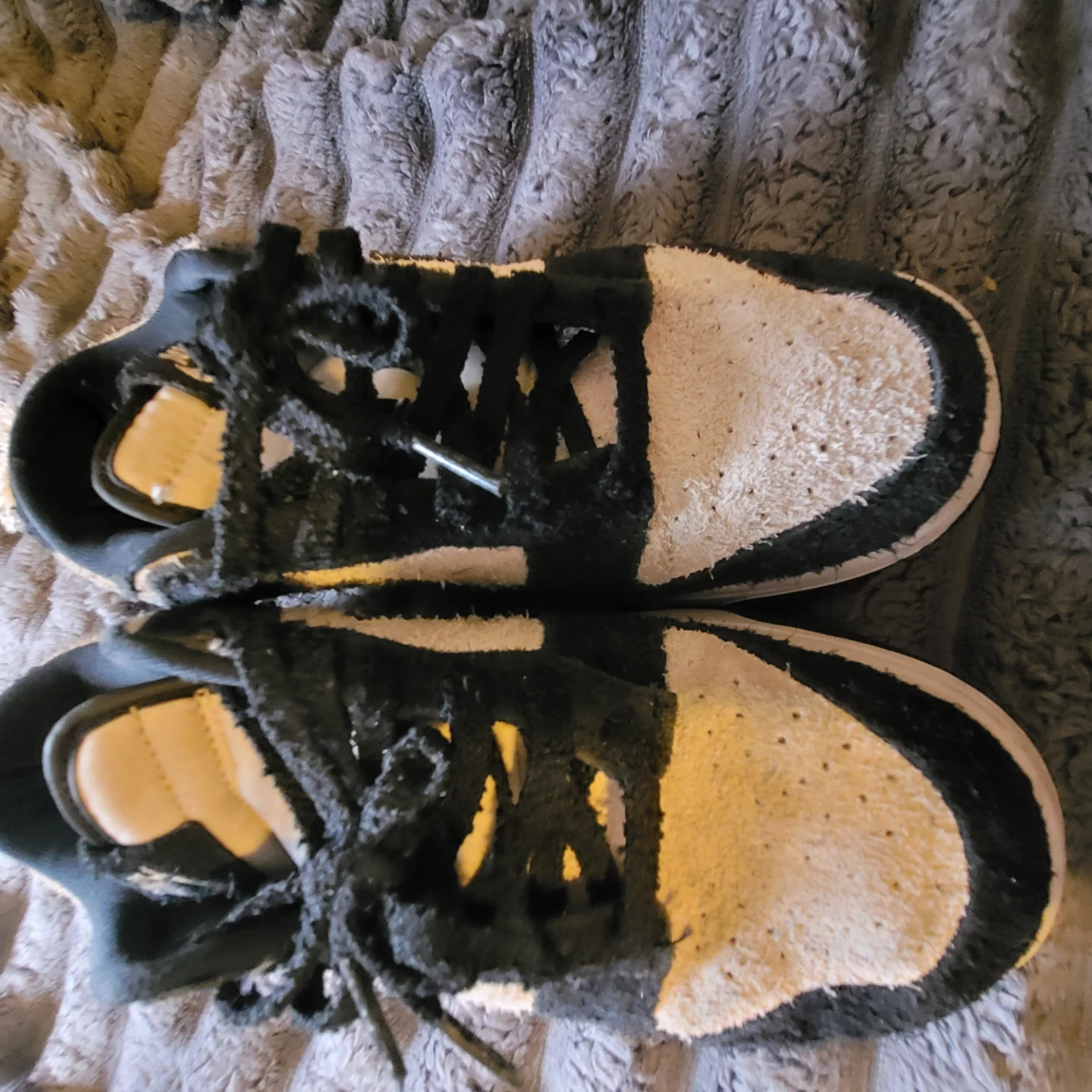 Nike Dunk Low Shoes