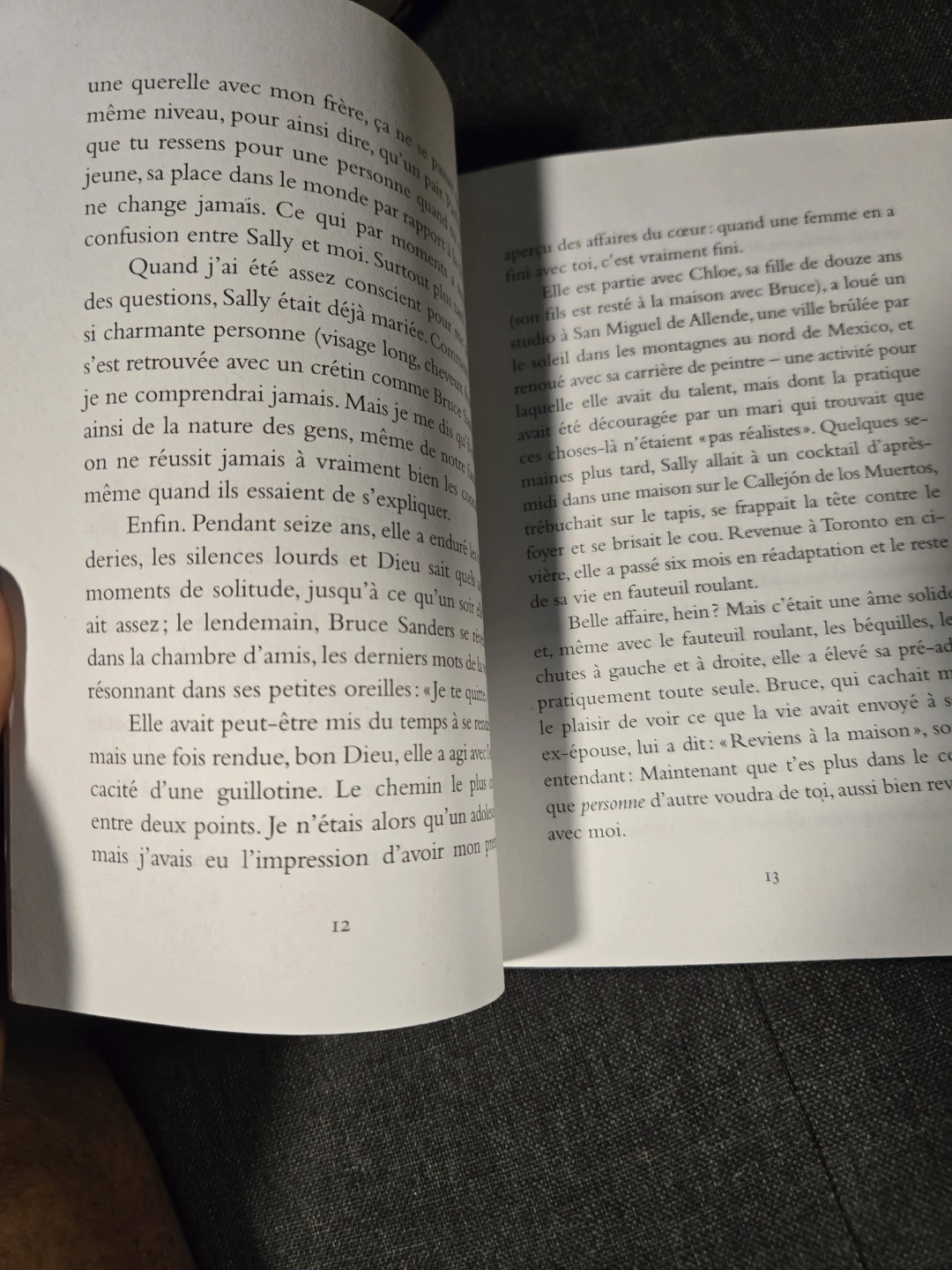 Extraordinary, David Gilmour Book: Francàs - photo 3