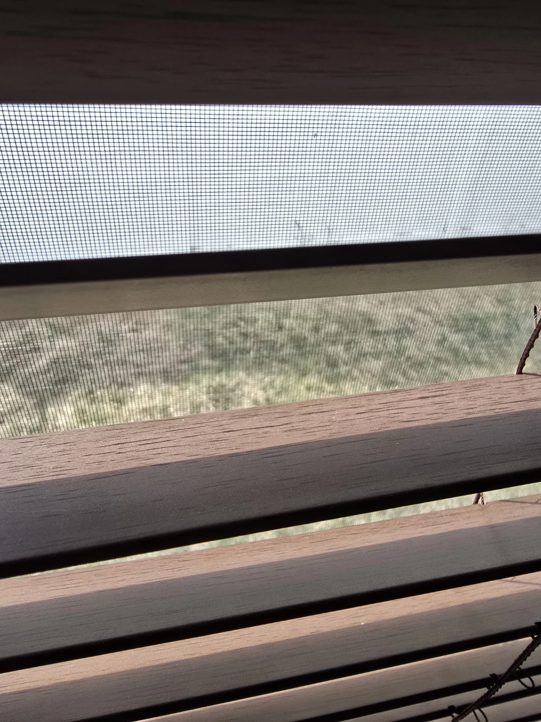Wood Blinds - photo 3