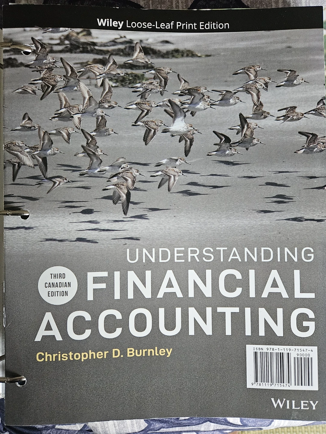Understanding Financial Accounting Loose-Leaf Book by Wiley
