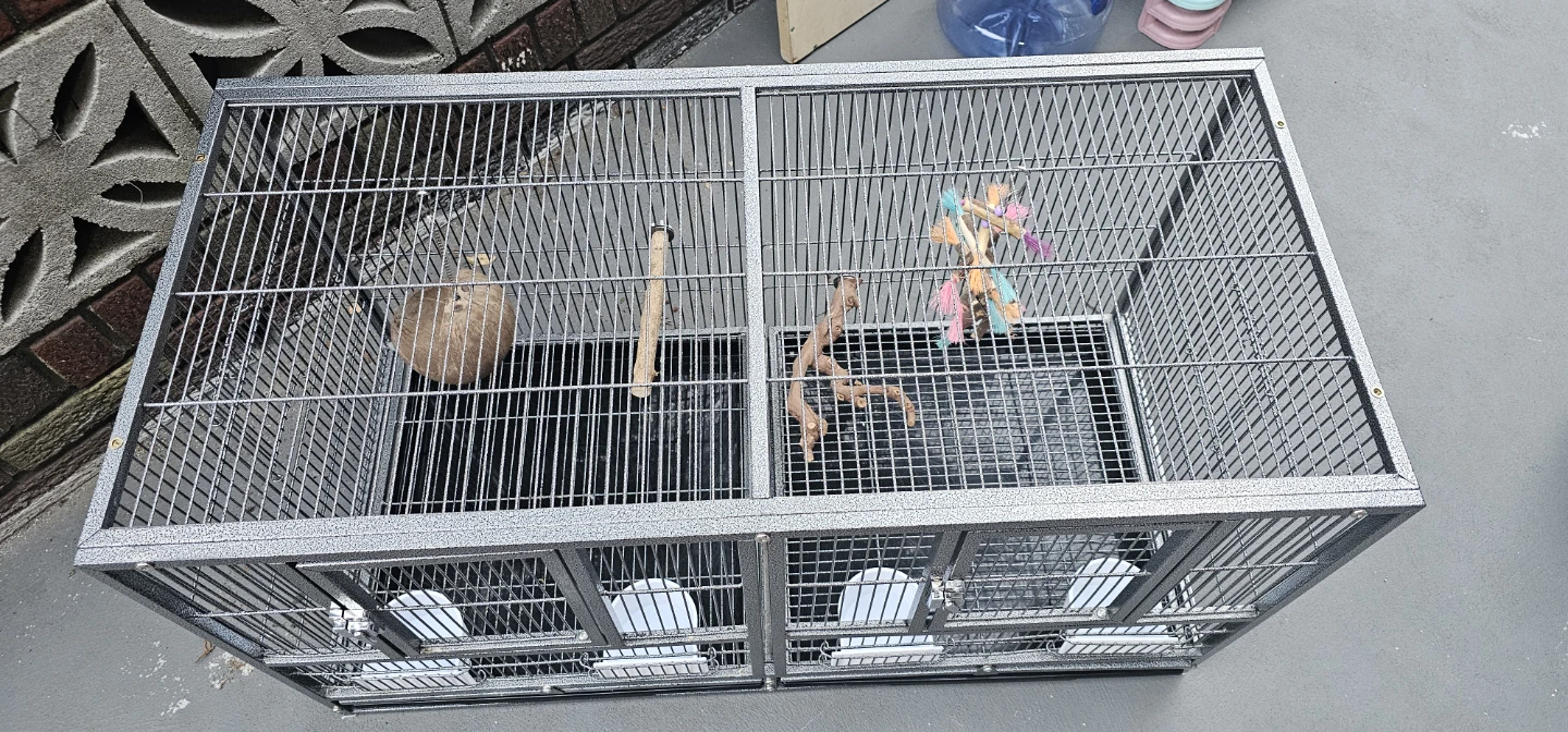 Large Double Bird Cage - photo 2