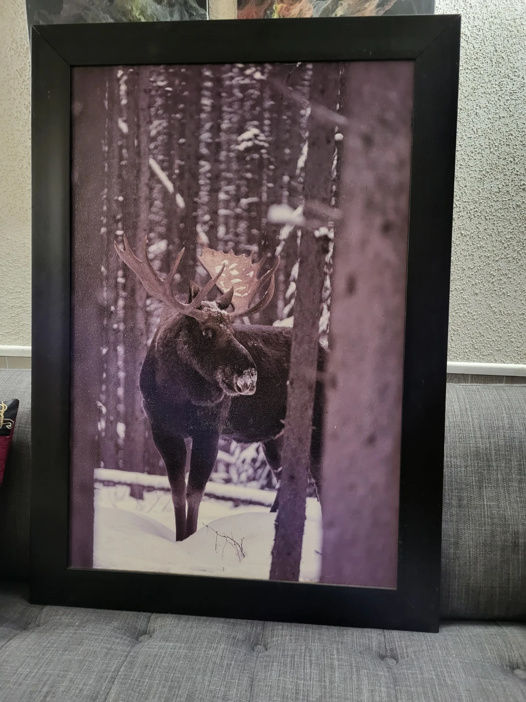Framed Moose in Snowy Forest Wall Art $18 cash