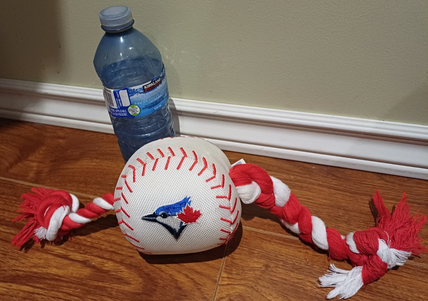 FREE Toronto Blue Jays Baseball DOG TOY