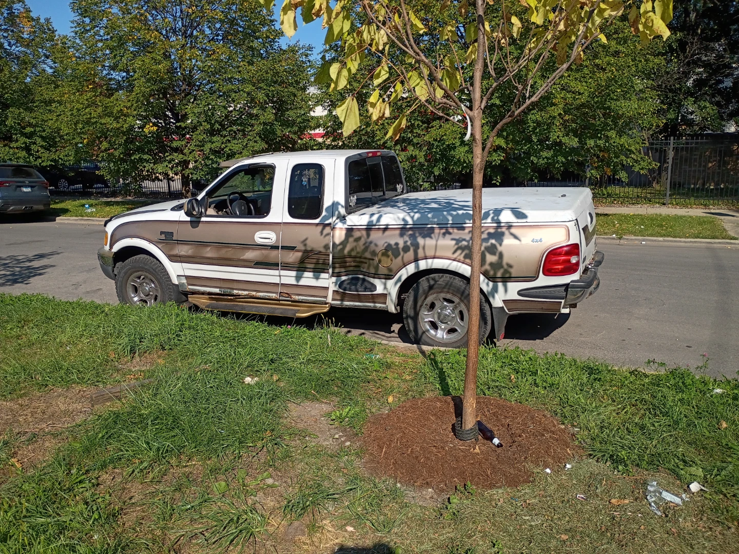 1999 Ford F-150 Truck - photo 3