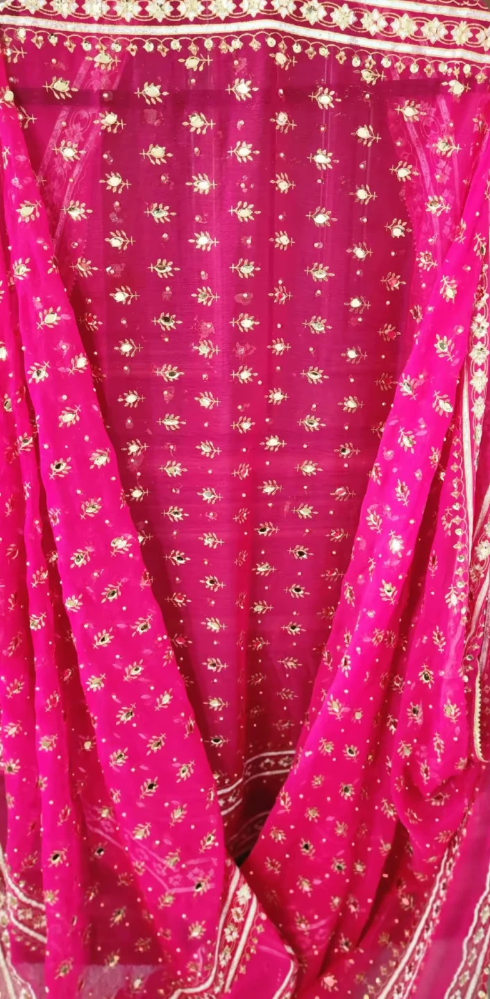 Embellished Chiffon Dupatta (Assorted Colours)
