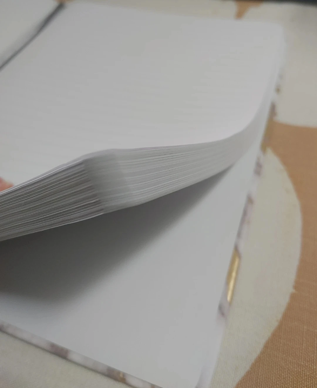 Eccolo Journal - photo 4